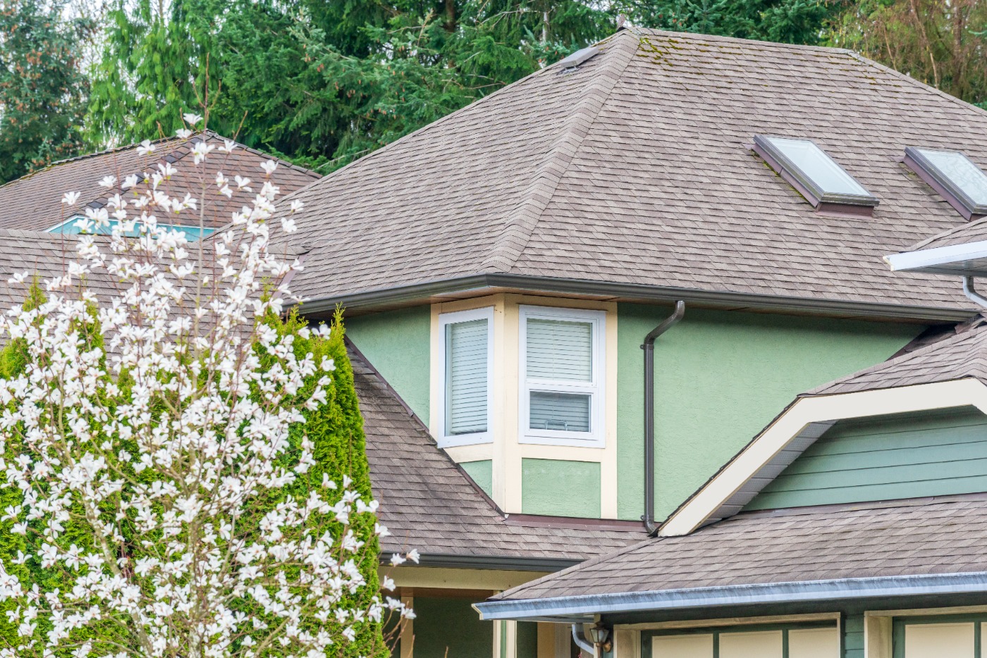 Exterior services